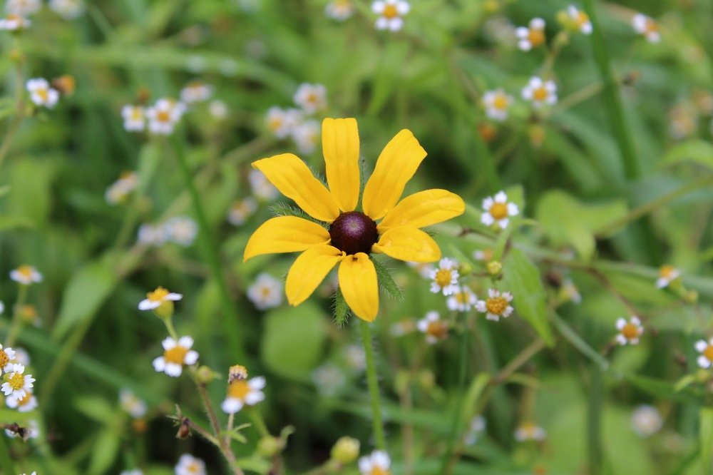 Photograph by Ирина Леонова