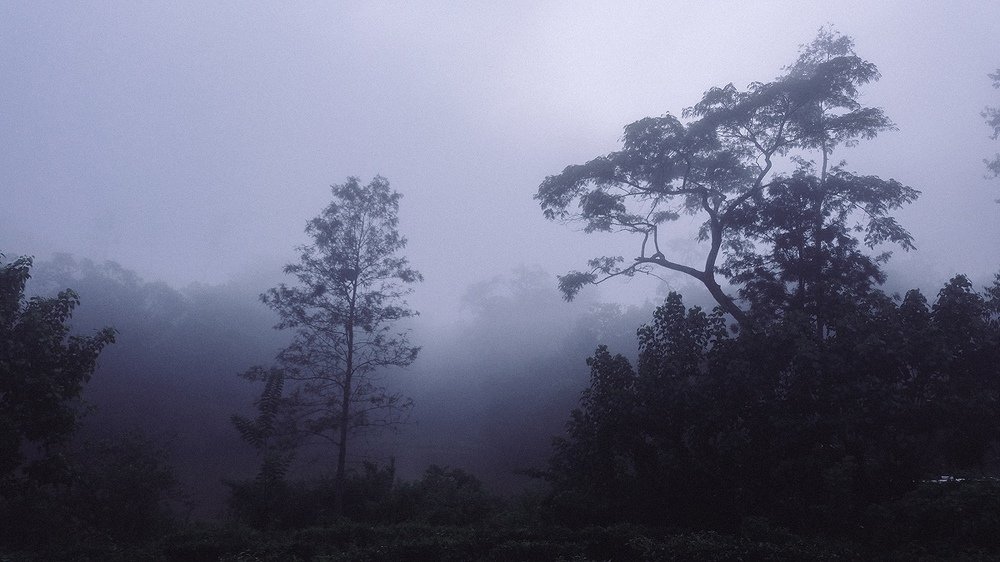 Photograph by Артем Чесноков