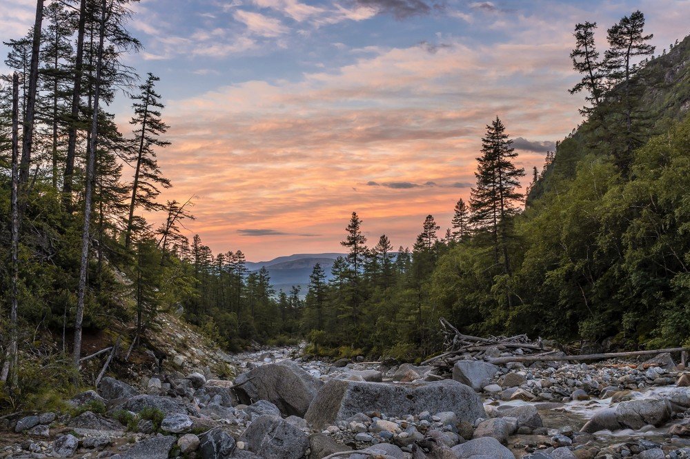 Утро Кодара