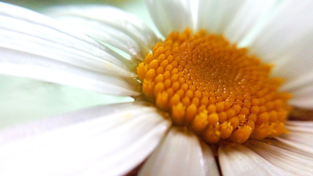 Солнце внутри