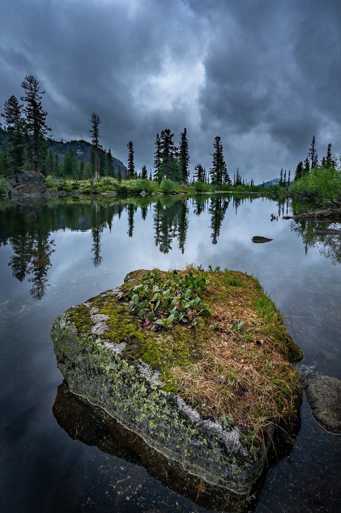 Сумеречный остров