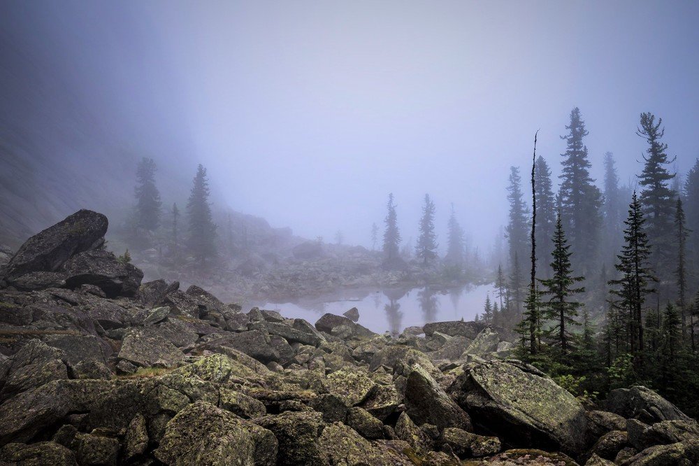 В туманных сумерках