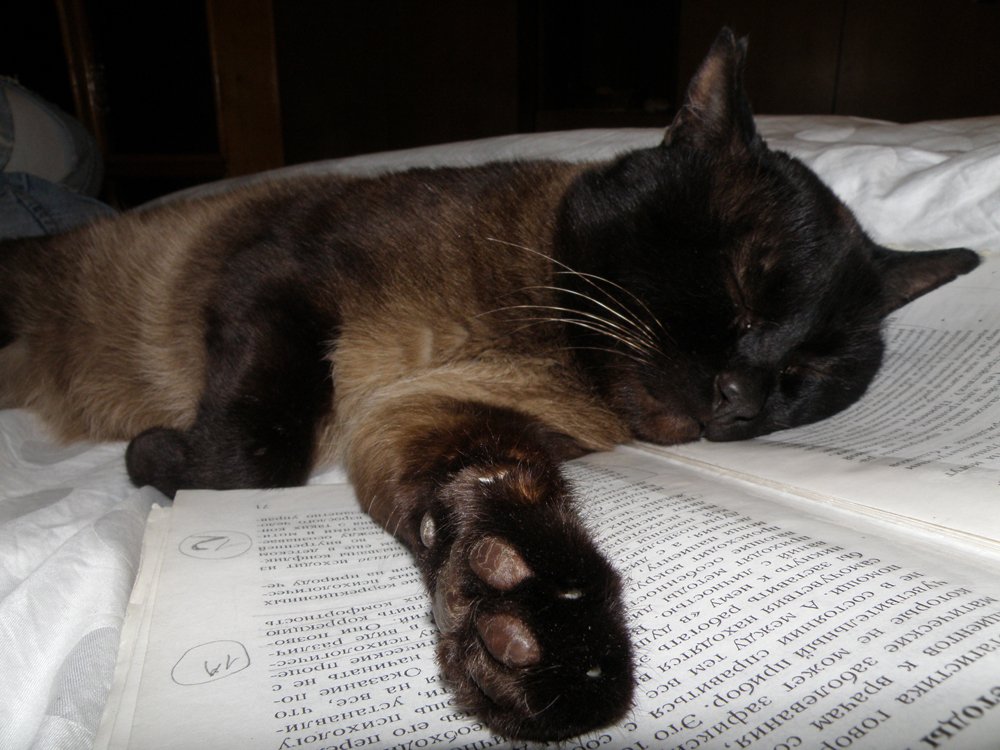 Наука и жизнь