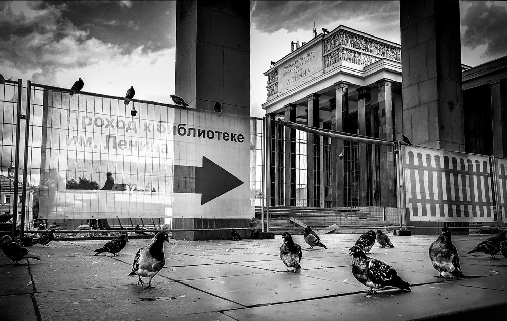 Библиотека / Library