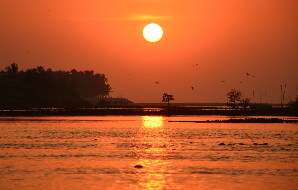 Sunset