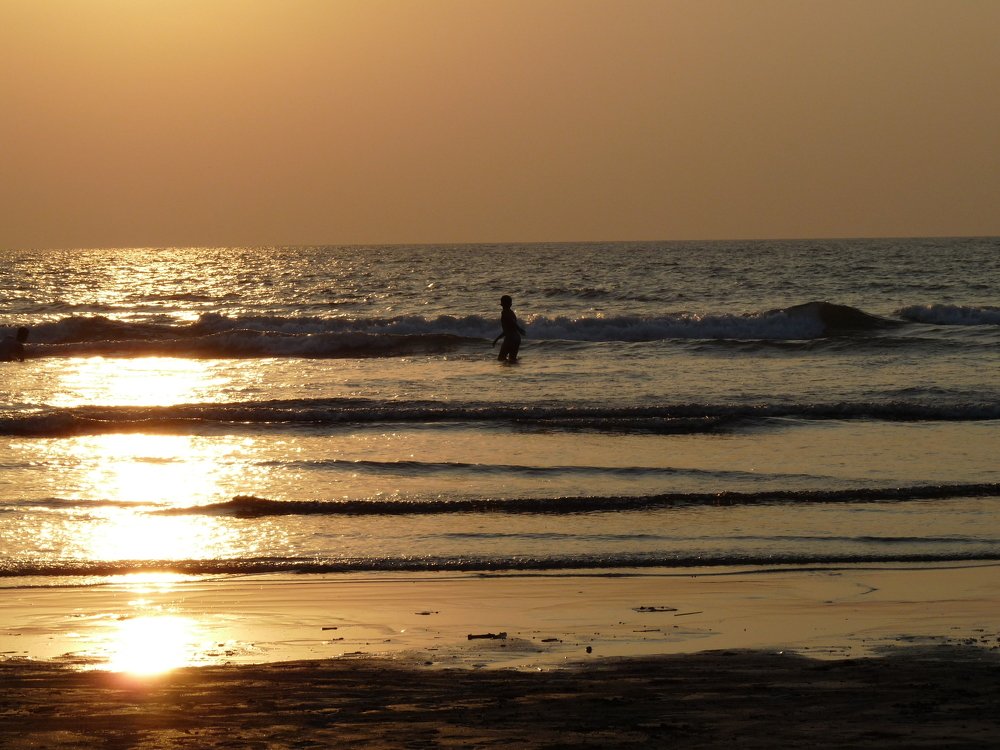 Golden Hour: Magic of soft warm light from nature's womb.