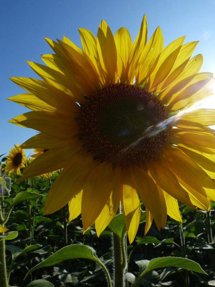 Photograph by Елизавета