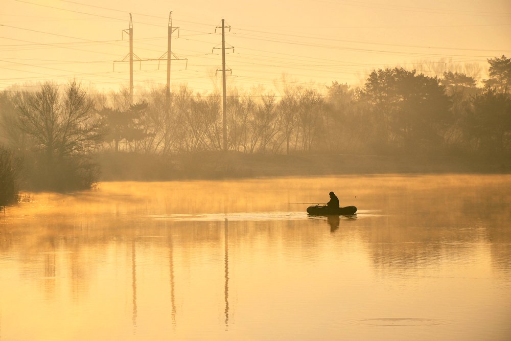 Где-то рыбка золотая