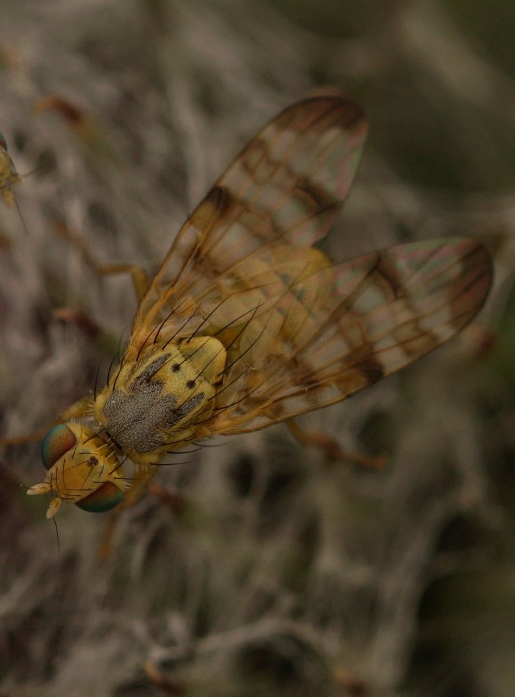 Photograph by Андрей Шартов