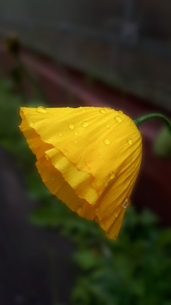 Photograph by Кадырова Анастасия