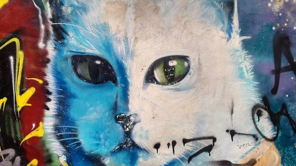 Photograph by Иван Слободянюк