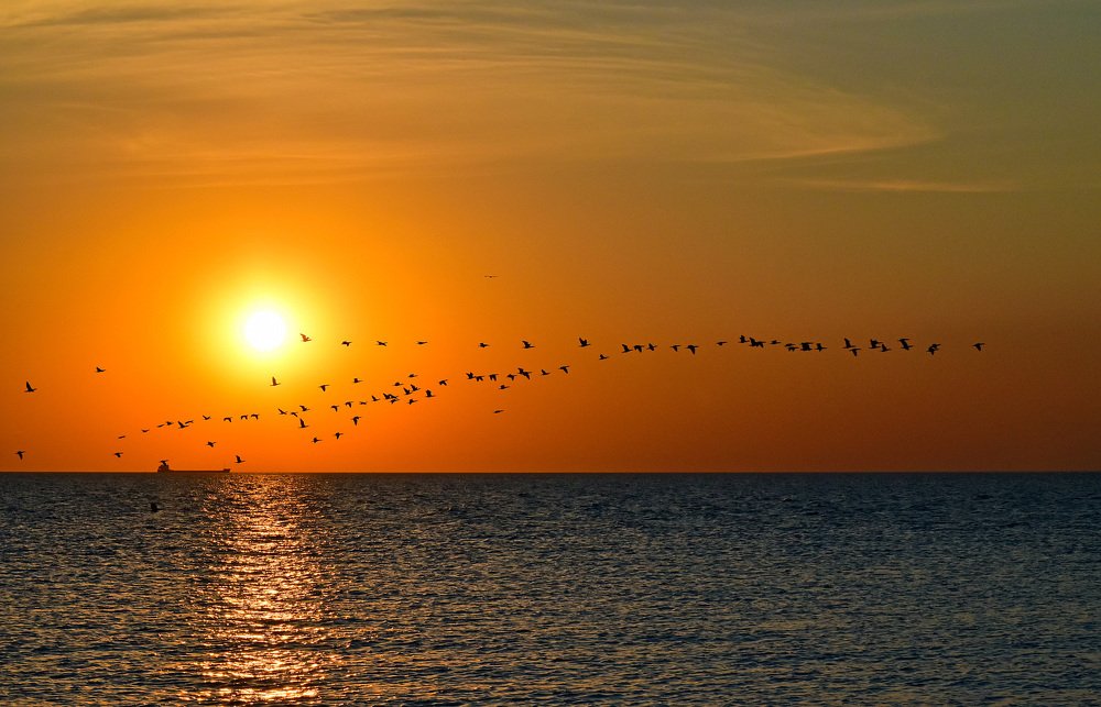 Закат на Азовском море