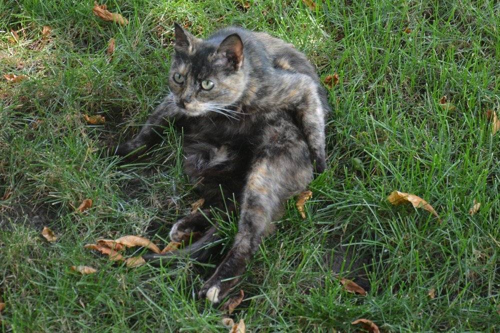 Photograph by Анатолий Зеленский