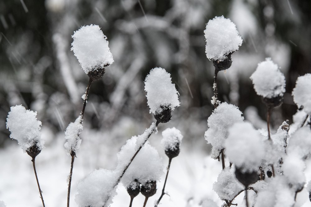 Зимняя мода!