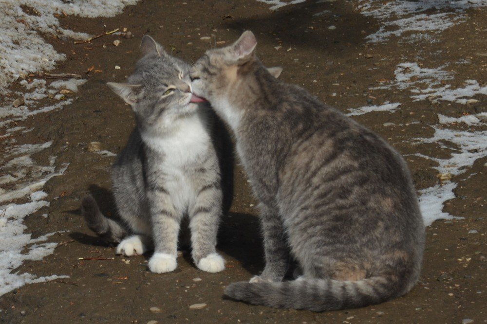 Photograph by Анатолий Зеленский