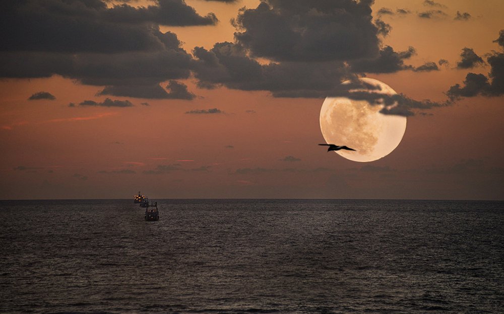 Photograph by Яков