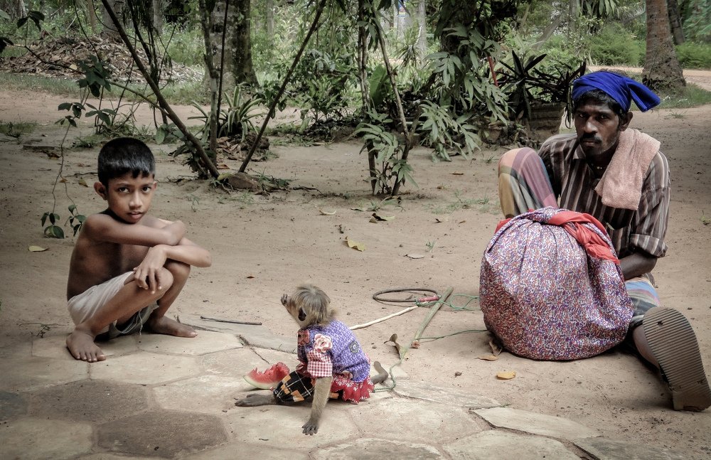 Performances for the living