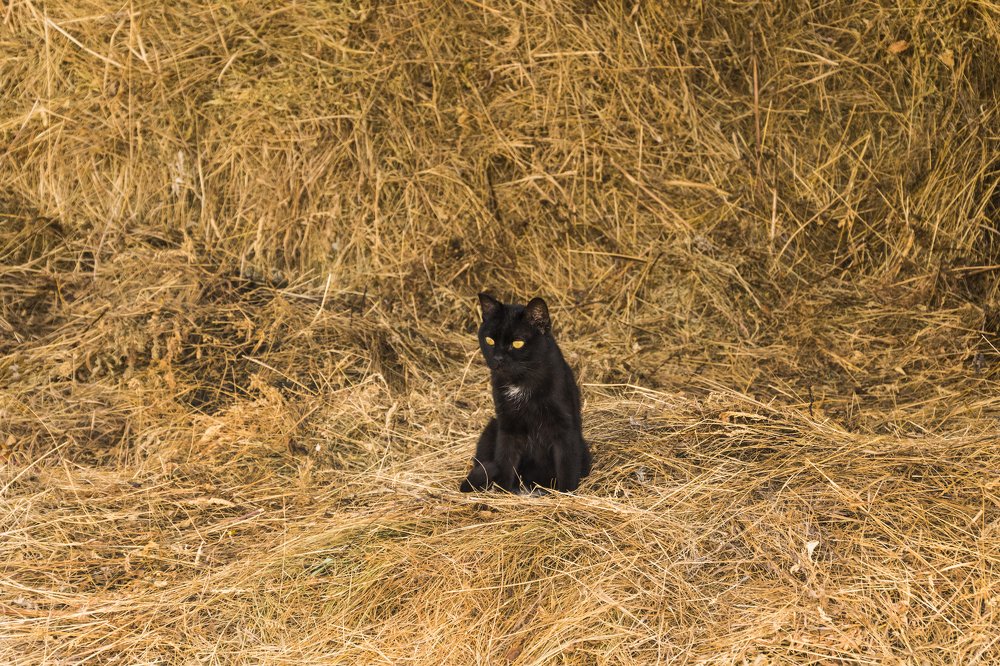 Photograph by Дмитрий Тимин