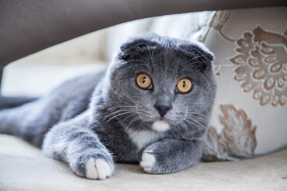 Photograph by Александр Лапшин