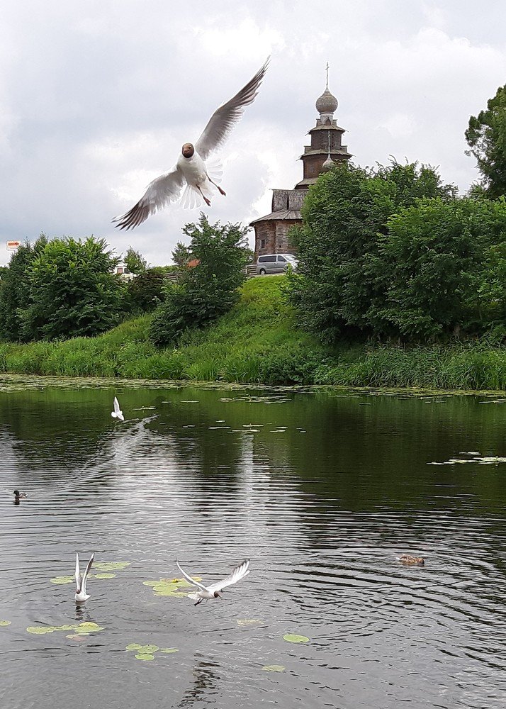 Суздаль. Река Каменка