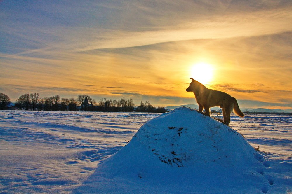 Photograph by Лозинский Ярослав