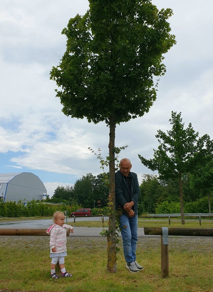 Притворись деревом.Сделай так, чтобы внуки тебя не заметили.
