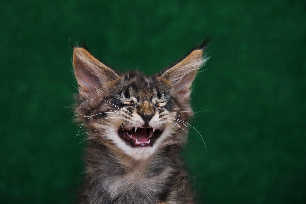 НЕ хочу сниматься !!!!