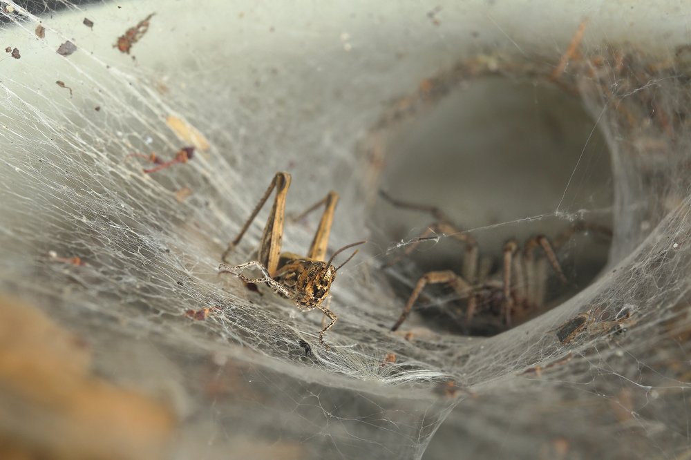 Телепорт в один конец