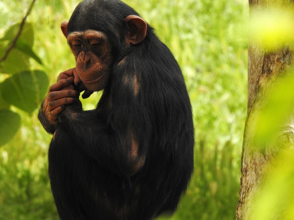 без названия