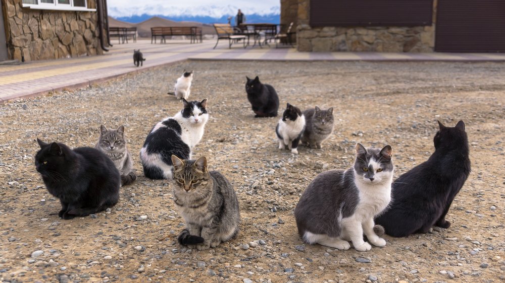 Фотография автора Zakharov Armen