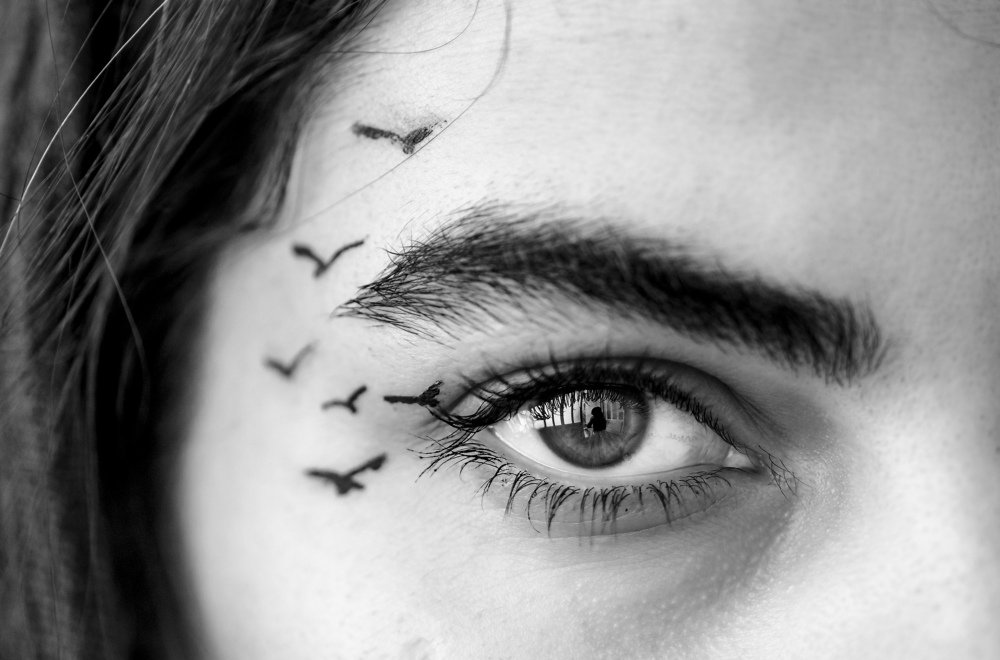 Фотография автора ziba alirezaei58