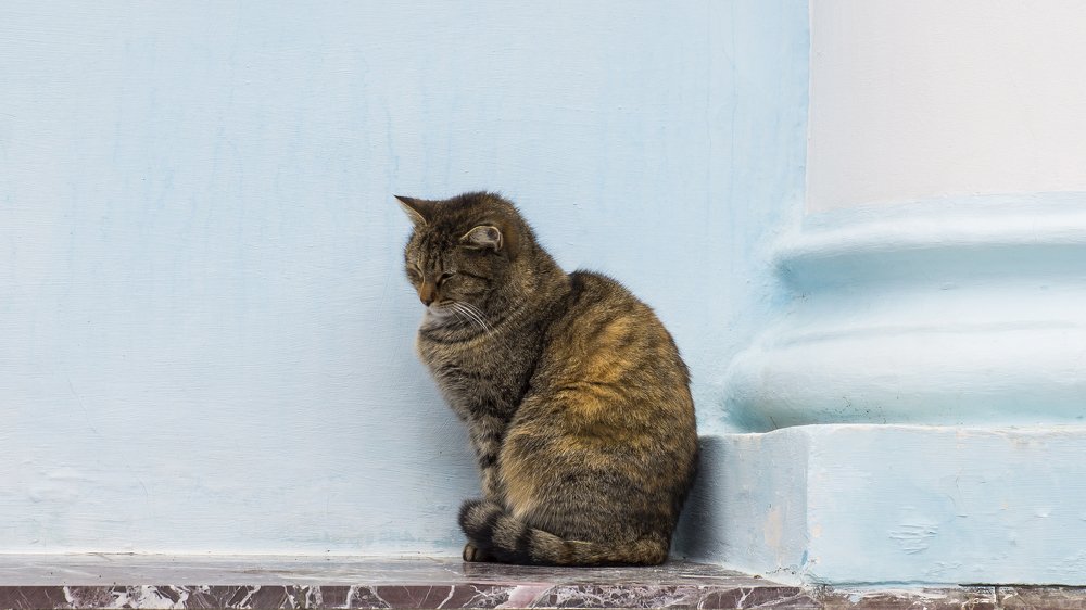 Фотография автора Zakharov Armen