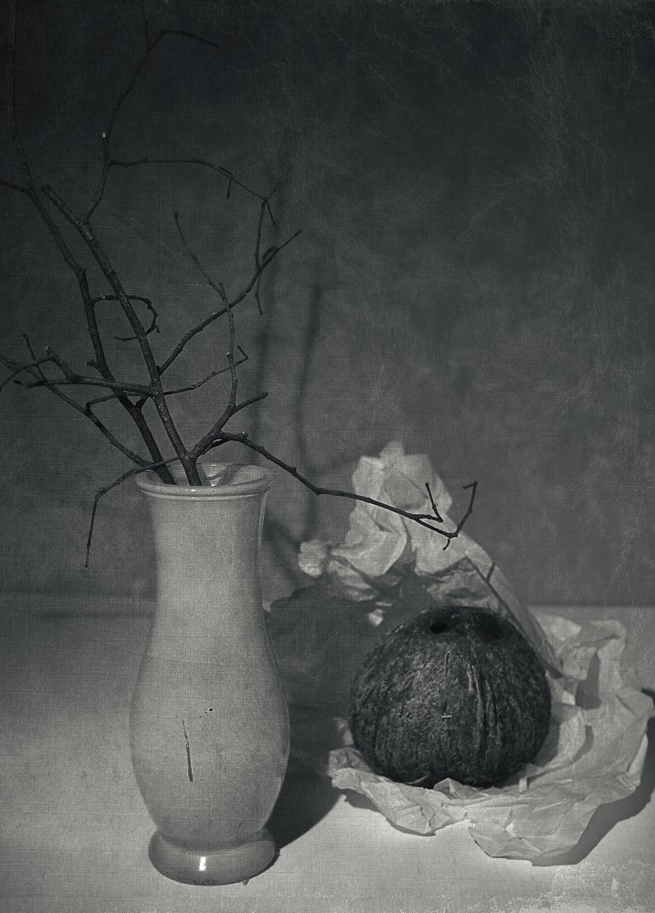 Photograph by Елена Ржевская