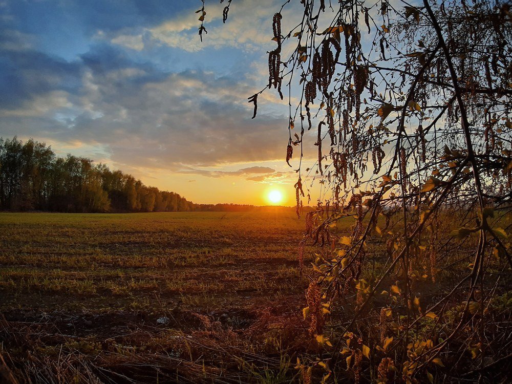 Photograph by Шепелев Дмитрий