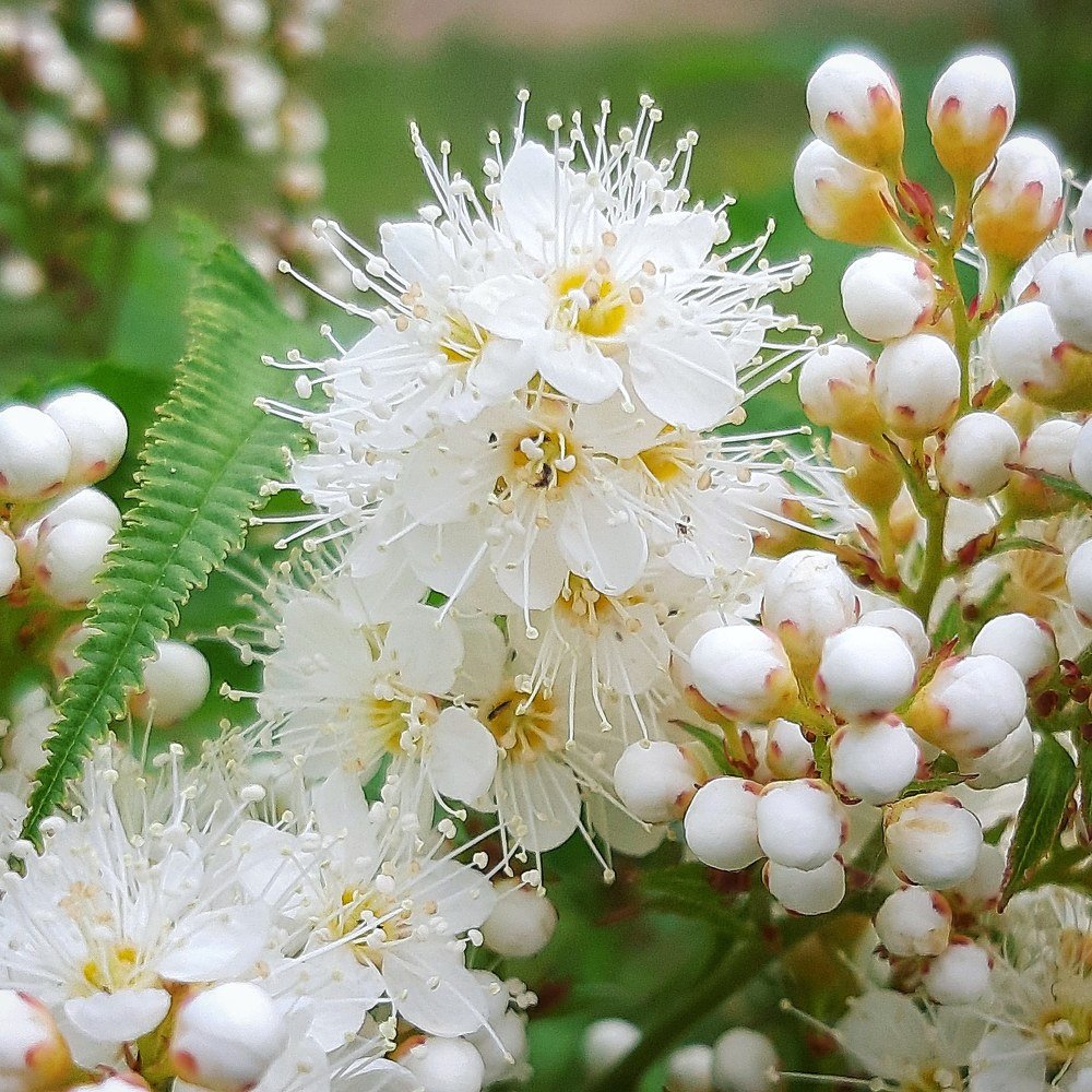 Photograph by Шепелев Дмитрий