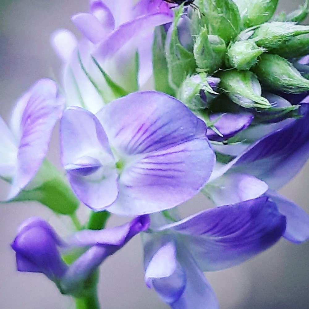 Photograph by Шепелев Дмитрий