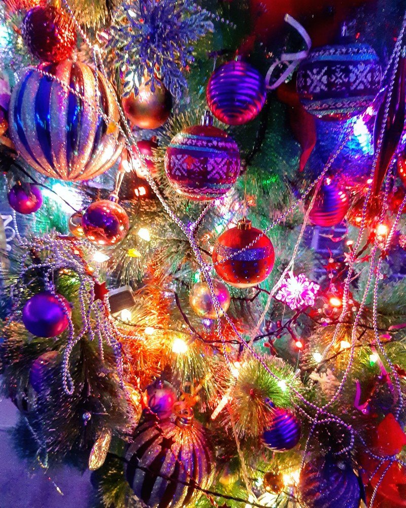 Photograph by Шепелев Дмитрий