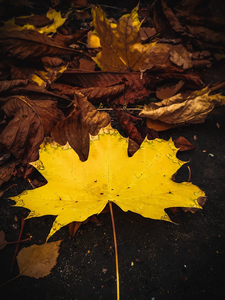 Photograph by Karina Sapfir