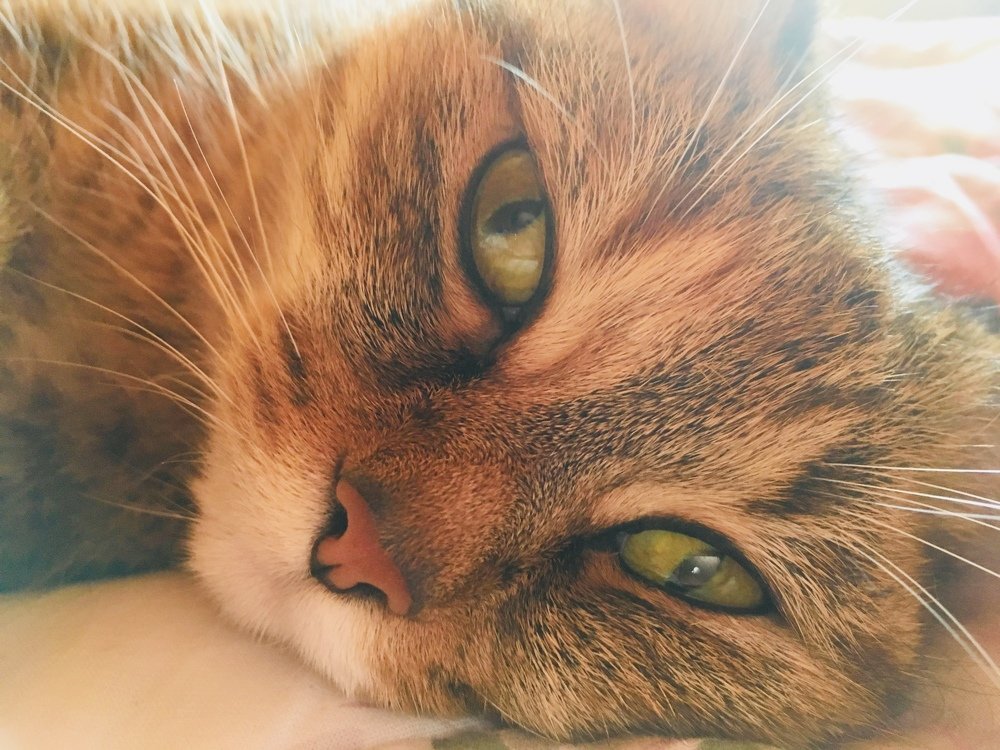 Photograph by Ирина
