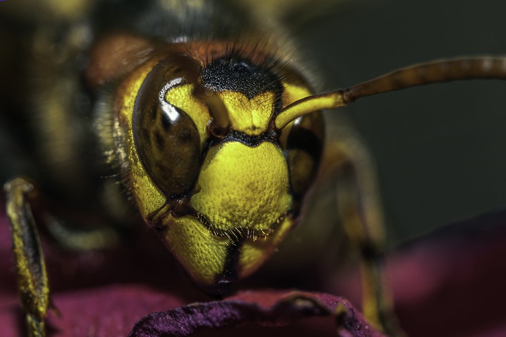 Photograph by Армен Майтесян