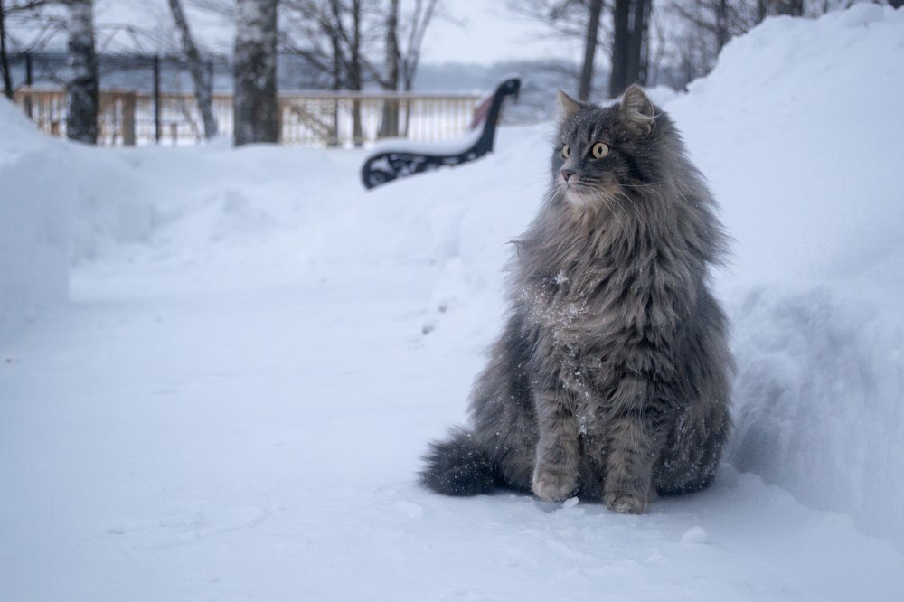 Photograph by Ксения Рыбка