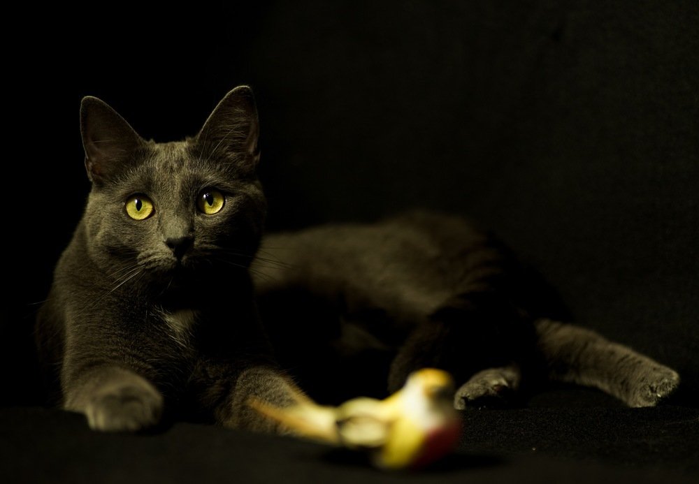 Играть устала