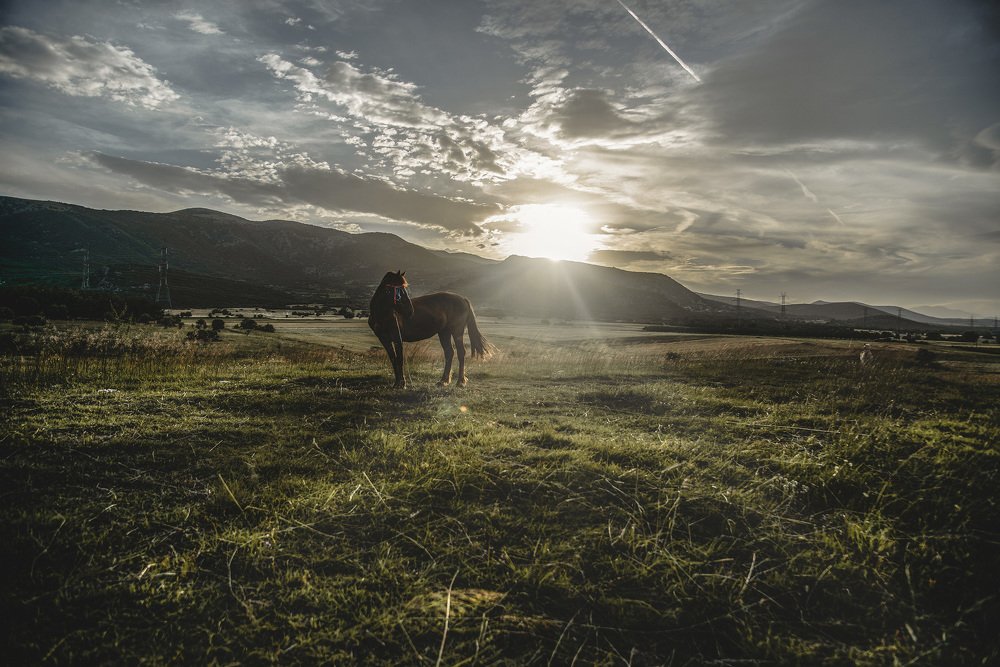 Photograph by Dimitris Vavliaras