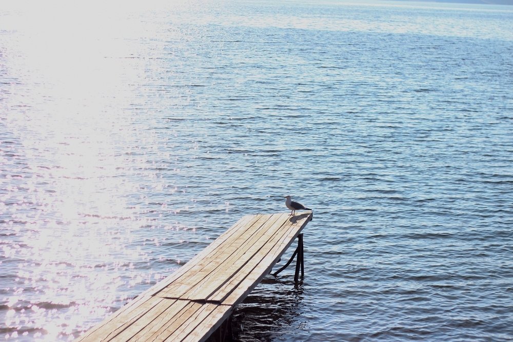 Серебристое утро