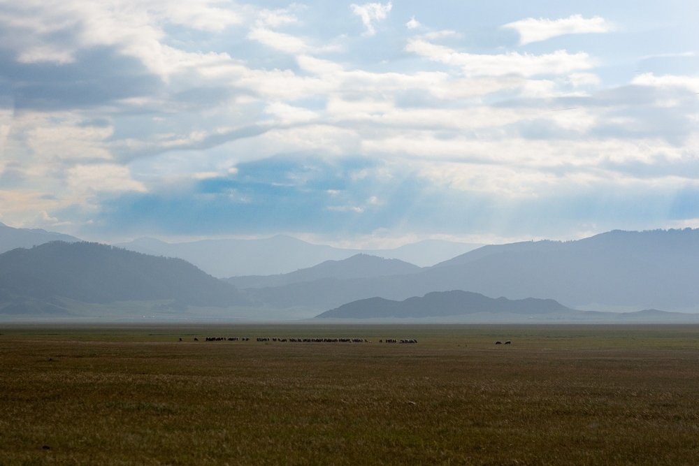 Там где душа