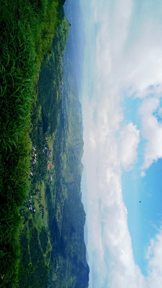 From fort