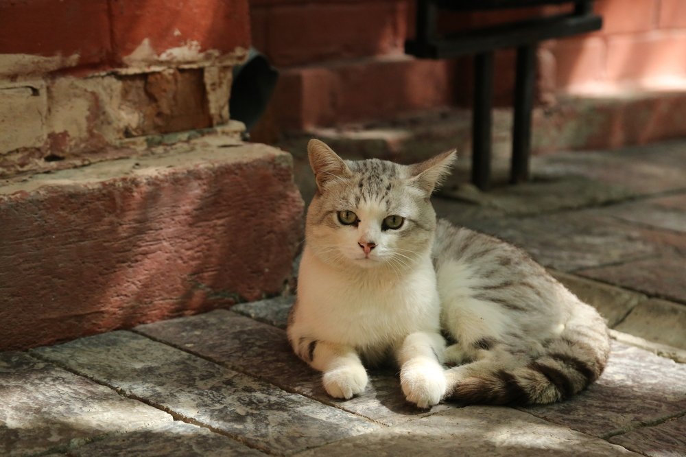 Photograph by Дарья Юсарева