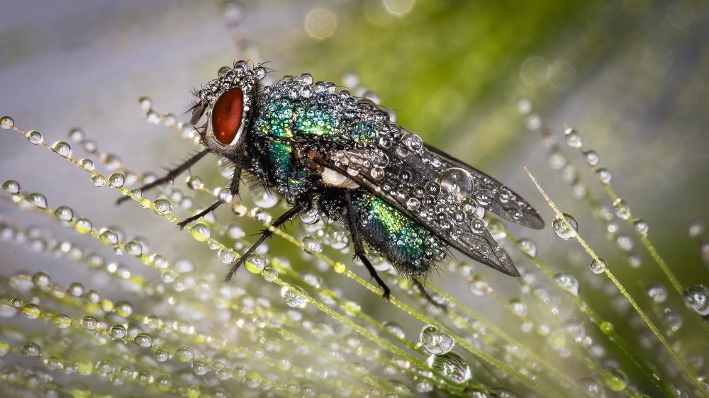 Photograph by Andrey Ostapenko