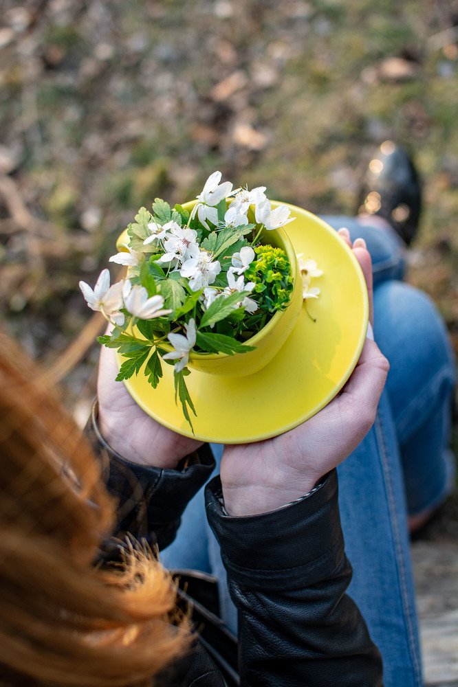 Photograph by Татьяна Конопацкая