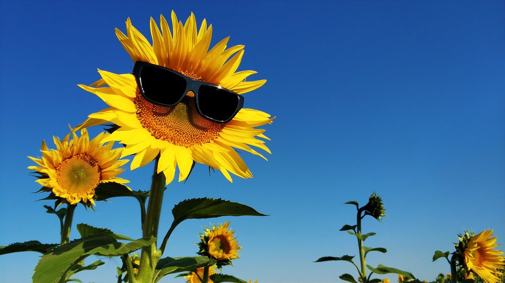 Когда ты не такой как все...